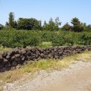 수산리농장 이미지