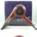 피닉스애견미용 이미지