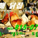 자매닭집