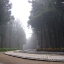 휴양림농장 이미지