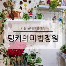 (3/11) 힐링 족욕제 만들기 | 서울 원데이클래스 테라리움 만들기 팅커의 마법정원 사당 놀거리 힐링 풀멍테라피