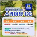 스카이뷰 이미지