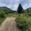 (경남고성부동산) 상리면 동산리...산자락 아래,감나무밭(과수원) 매매 / 9,288㎡(2,810)/2억8천만원.입니다. / 이미지