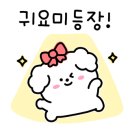 금광탁구장
