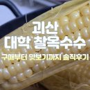 대학찰옥수수 | 괴산 대학 찰옥수수, 구매부터 맛보기까지 솔직 후기