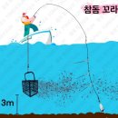 풍화리민박 | ~ 2024.04.19 통영 풍화리 재영호 참돔 조황 ~