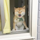 다행다복