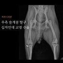 서창사랑동물의료센터 이미지