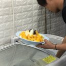 오대치킨 - 청송군 구산동로 40 | 오대치킨