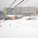 양지게이트볼장 이미지