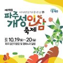 제 19회 파주 개성 인삼 축제 (파주 임진각광장 및 평화누리 일원) 이미지