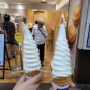 진양슈퍼 | [해외여행/삿포로] 삿포로 키노토야 베이크 폴타운점 치즈타르트 애플파이 아이스크림 후기