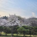 일동농장 이미지