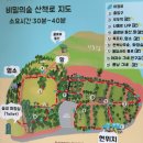 프렌치비자림 | wedding• 제주도 셀프스냅 웨딩촬영 장소 및 소품 • 테무템• 쿠팡템