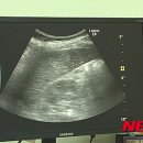 다나의원 이미지