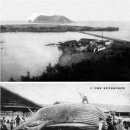 서귀포산업 주식회사 이미지