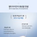 아람약국 네이버블로그