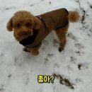 캡컷으로 영상 제작&편집하기 이미지