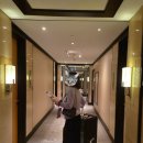 이백이몰 | 에미레이트 항공 프리미엄 이코노미 클래스 후기, 켐핀스키 몰 오브 에미레이트 호텔 (내일투어 예약...