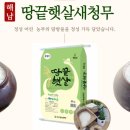 햇살미곡 전남일보