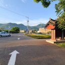 동교길-5 | 경북 청도읍성과 작약꽃