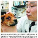 용산구 삼광초교 서울신문
