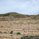 우보공인중개사사무소 이미지