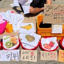 김씨네과일