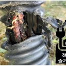 무장태양광발전소 이미지