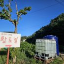 부르릉주유소 이미지