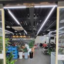 본가 부대찌개 이미지