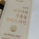 살포시 | 방풍통성산 살포시정 가격 일본 후기 (꼭보세요)