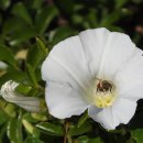 온누리주유소 이미지