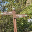 소리의섬 이미지