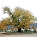 성흥로97번길 이미지