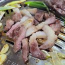 적토마 짐 | 883번째 기록. 석봉동 춤추는 꽃돼지.(소금구이, 갈매기살, 노포의 매력, 솔직한 후기)