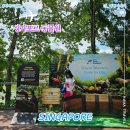 원더스 | 싱가포르 리버원더스 후기, 팬더부터 아마존 보트까지 반나절 여행 코스