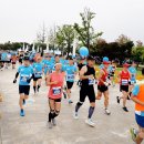 세븐일레븐 가양대교점 | 2019 슈퍼블루마라톤, 장애인 인식개선 롯데 마라톤!