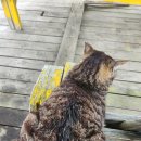 수진좌대2 | 안면도 구매항 수진좌대 바다이야기 후기