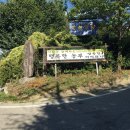 꺼먹돼지 이미지