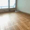 라이온공인중개사사무소 이미지