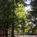 매화관광농원캠핑장 이미지