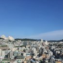 다루커머스 이미지