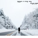 더하얀세상 이미지