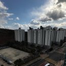 아름동_범지기806동앞 네이버블로그
