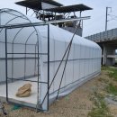 부활농장 이미지