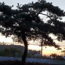 일등요양병원 이미지