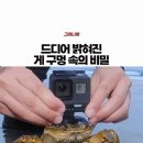 crab house 이미지