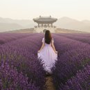 진성 마을회관 이미지