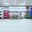 더 파이팅 복싱짐 이미지